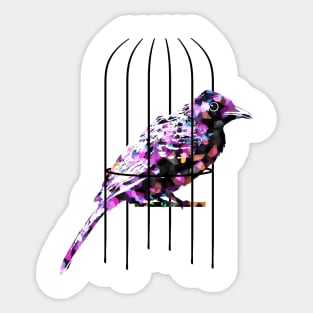 Bird in Cage Sticker